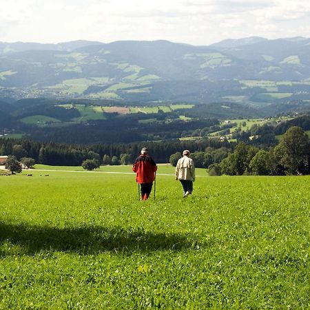 Wildwiesenhof Miesenbach  Exterior photo